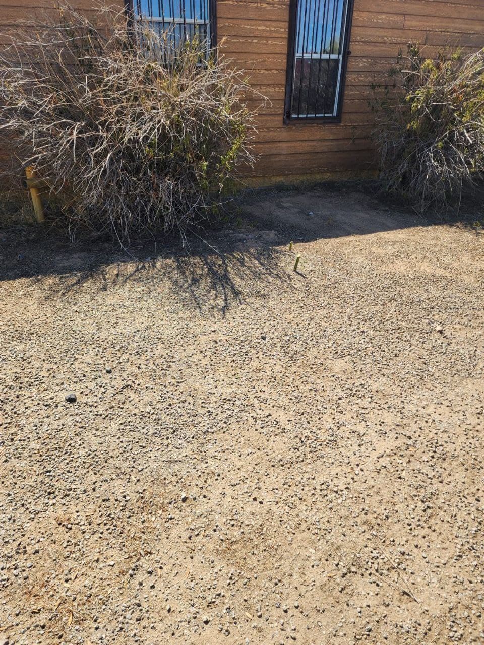 Before a complete landscape overhaul
